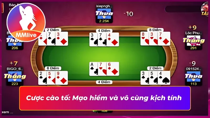 Cược cào tố: Mạo hiểm khi "tố" nhưng nếu thắng, phần thưởng sẽ rất xứng đáng.