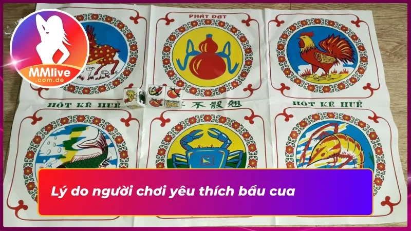 Những ưu điểm mà bầu cua sở hữu