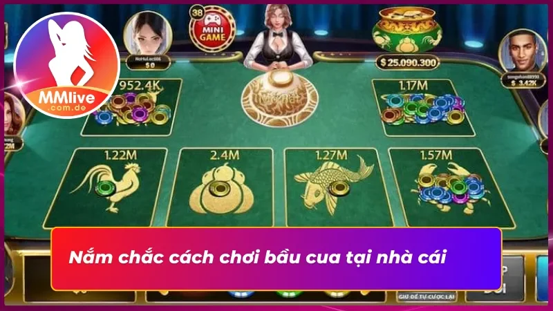 Một số luật cơ bản cần biết khi chơi bầu cua