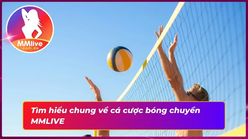 Sơ lược về bóng chuyền 