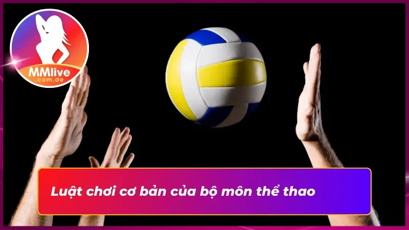 Luật chơi chi tiết của bóng chuyền 