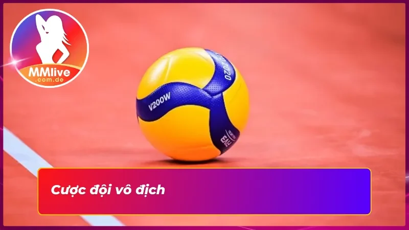 Cược đội vô địch trong bóng chuyền 