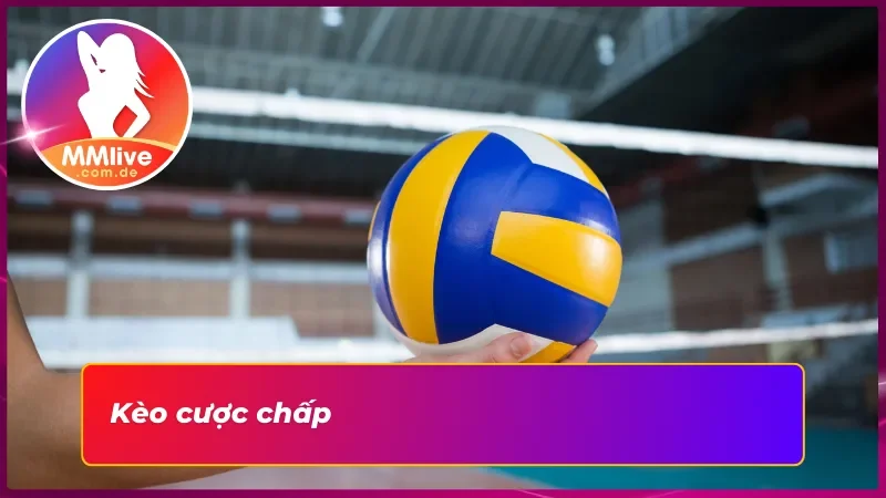 Kèo cược chấp hấp dẫn trong bóng chuyền