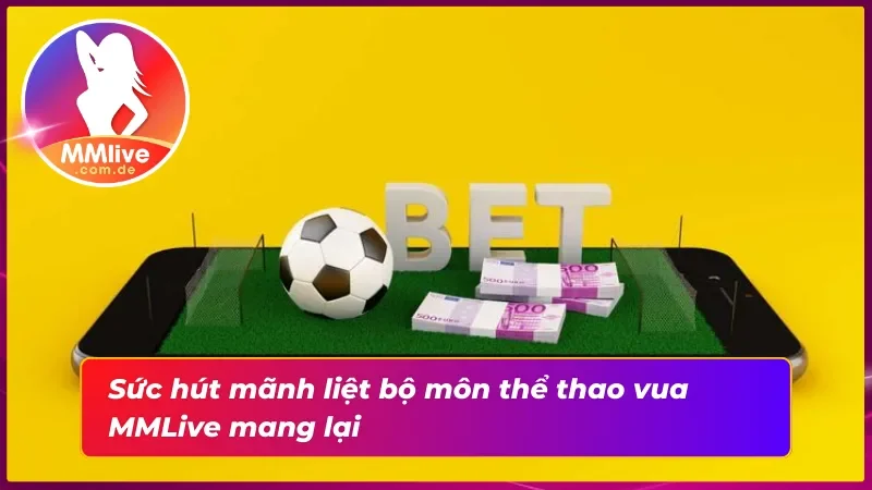 Điểm qua những ưu điểm khi cá cược bóng đá tại nhà cái