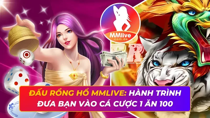 Đấu Rồng Hổ