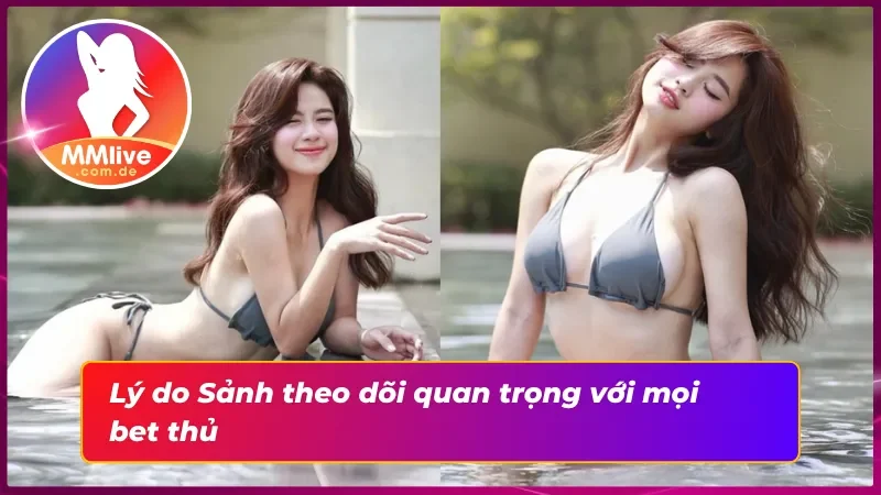 Sảnh theo dõi thu hút với những idol quen thuộc