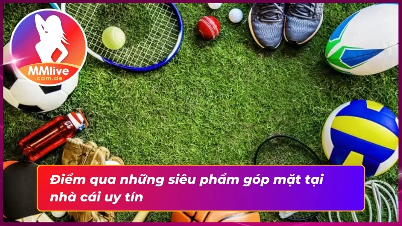 Top những bộ môn thể thao được ưa chuộng nhất