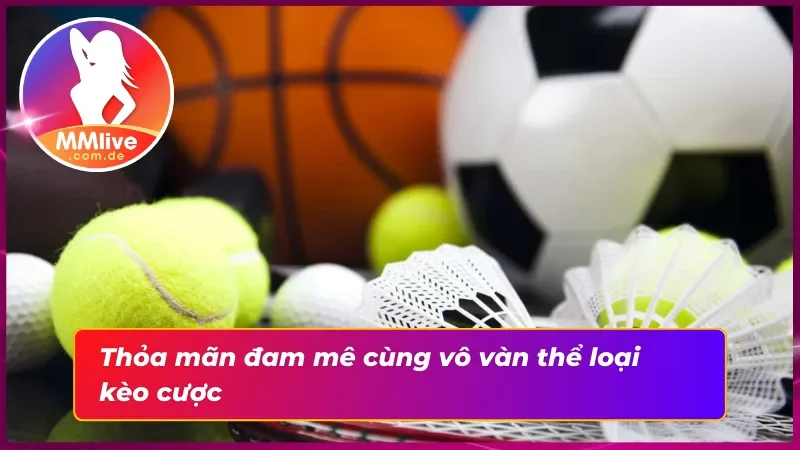 Thỏa mãn đam mê thể thao cùng hệ sinh thái kèo cược